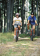 Cyklisti