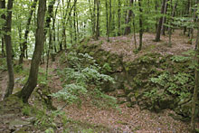 Kuchlov
