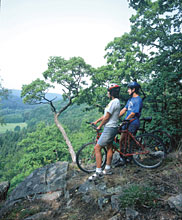 Cyklist