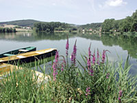 Ruprechtov